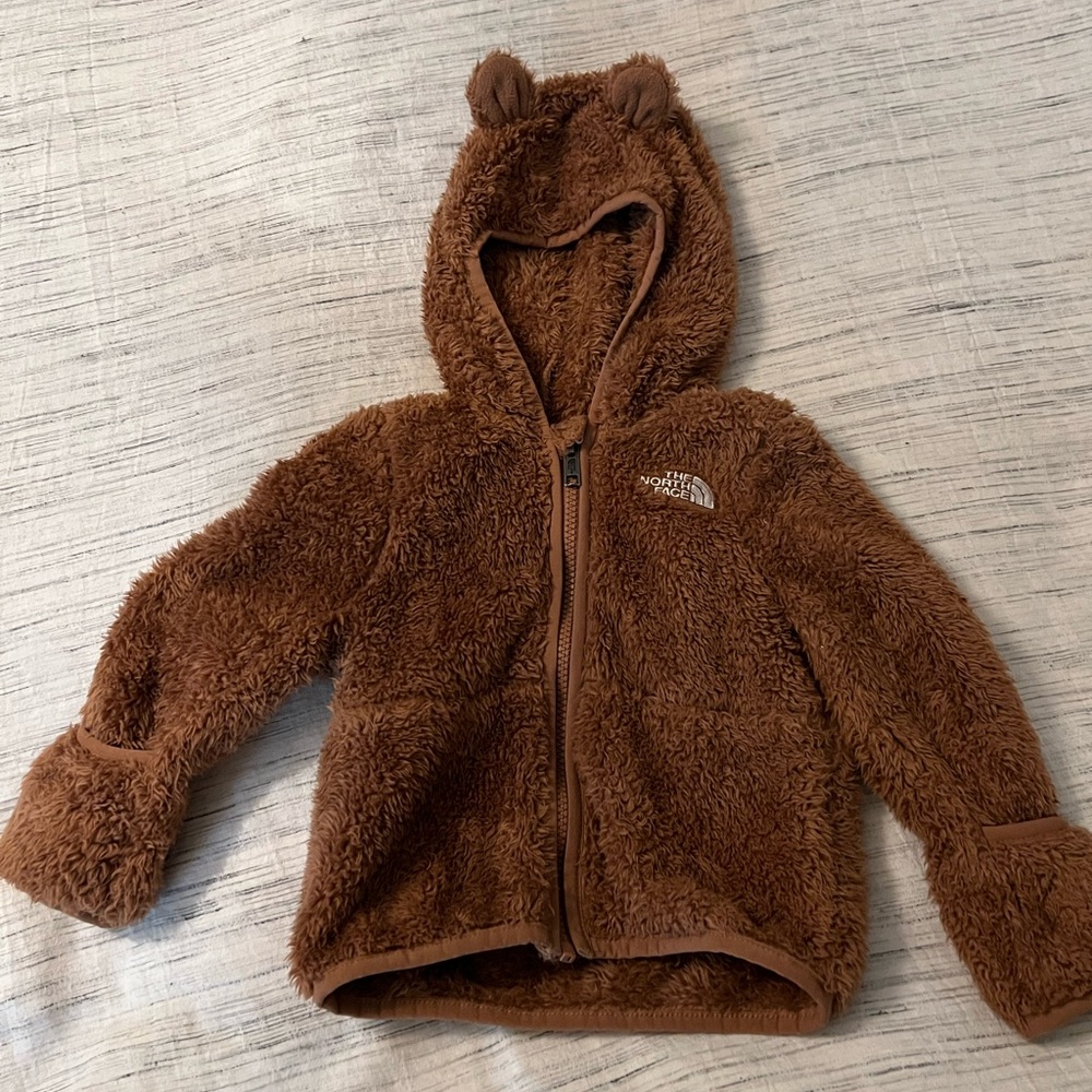 The North Face Teddy Bear Fleece Hoodie